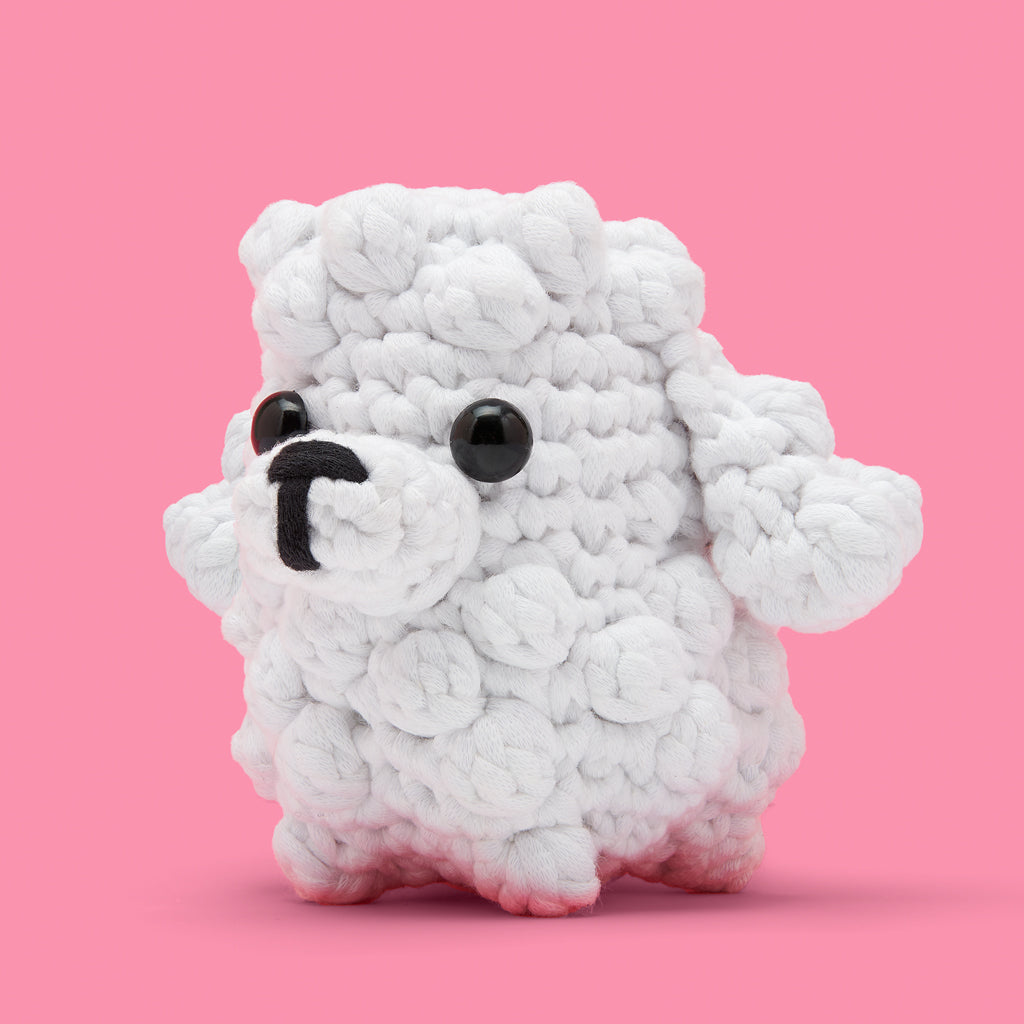 Kibakids - Get This Paw-ty Started Bundle