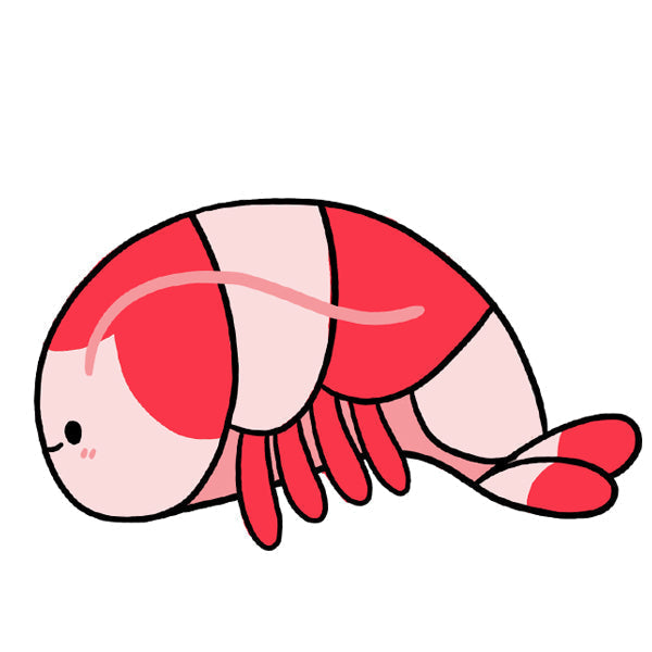 Kibakids - Mini Kibakids Crystal Shrimp