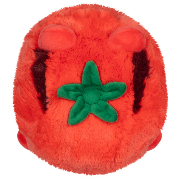 Kibakids - Mini Kibakids Tomatoad
