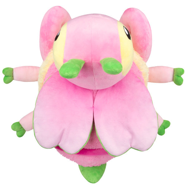 Kibakids - Kibakids Orchid Mantis