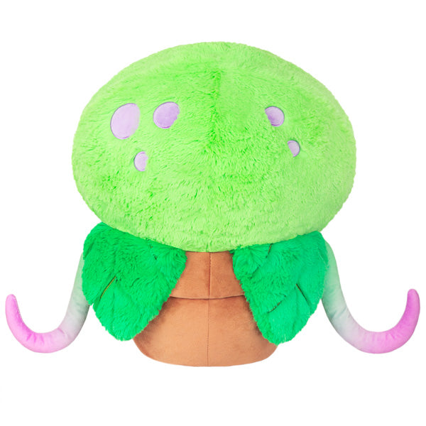 Kibakids - Kibakids Venus Flytrap