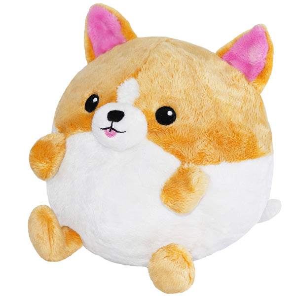 Kibakids - Undercover Corgi in Frog